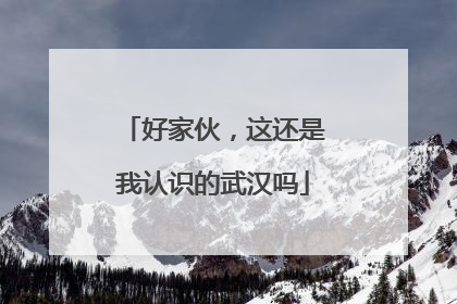 好家伙，这还是我认识的武汉吗