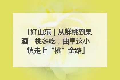 好山东｜从鲜桃到果酒一桃多吃，曲阜这小镇走上“桃”金路