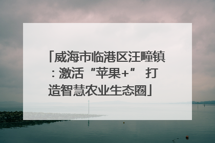 威海市临港区汪疃镇：激活“苹果+” 打造智慧农业生态圈