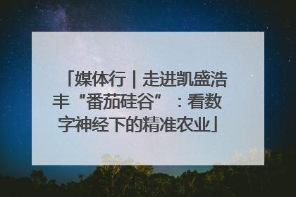 媒体行｜走进凯盛浩丰“番茄硅谷”：看数字神经下的精准农业