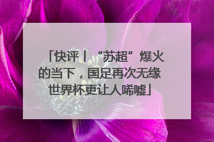 快评丨“苏超”爆火的当下，国足再次无缘世界杯更让人唏嘘