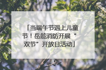当端午节遇上儿童节！岳麓消防开展“双节”开放日活动