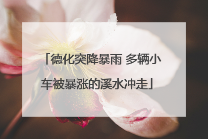德化突降暴雨 多辆小车被暴涨的溪水冲走