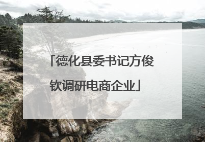 德化县委书记方俊钦调研电商企业