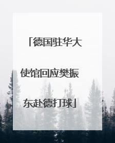 德国驻华大使馆回应樊振东赴德打球
