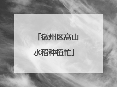 徽州区高山水稻种植忙