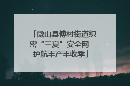 微山县傅村街道织密“三夏”安全网 护航丰产丰收季