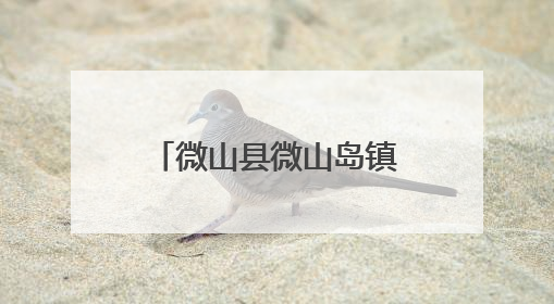 微山县微山岛镇“放管服”改革护航三夏生产