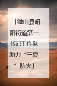 微山县昭阳街道第一书记工作队助力“三夏”防火