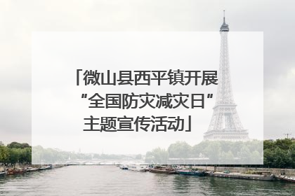 微山县西平镇开展“全国防灾减灾日”主题宣传活动
