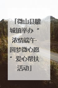 微山县驩城镇举办“浓情端午·圆梦微心愿”爱心帮扶活动