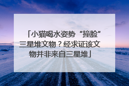 小猫喝水姿势“撞脸”三星堆文物？经求证该文物并非来自三星堆