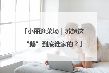 小丽逛菜场｜苏超这“鹅”到底谁家的？