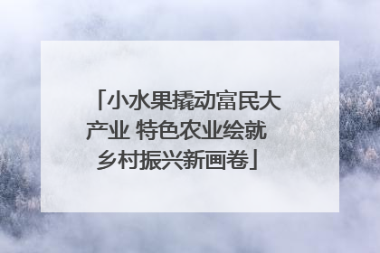 小水果撬动富民大产业 特色农业绘就乡村振兴新画卷
