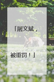 屠文斌，被重罚！