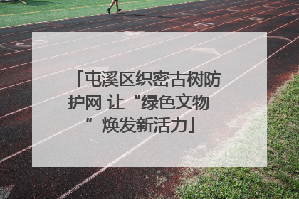 屯溪区织密古树防护网 让“绿色文物”焕发新活力