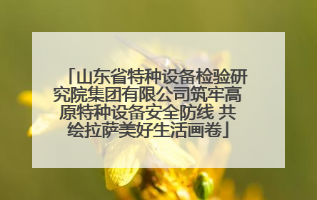 山东省特种设备检验研究院集团有限公司筑牢高原特种设备安全防线 共绘拉萨美好生活画卷