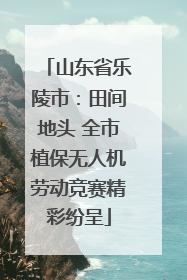 山东省乐陵市：田间地头 全市植保无人机劳动竞赛精彩纷呈