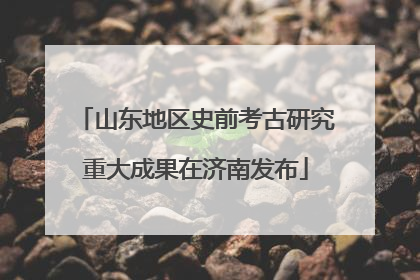 山东地区史前考古研究重大成果在济南发布