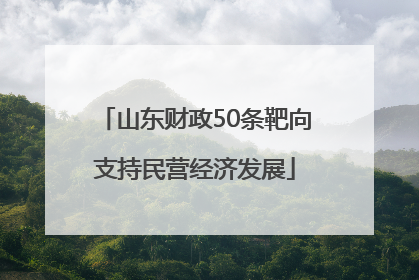 山东财政50条靶向支持民营经济发展