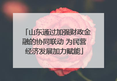 山东通过加强财政金融的协同联动 为民营经济发展加力赋能