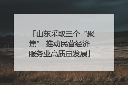 山东采取三个“聚焦” 推动民营经济服务业高质量发展