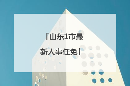 山东1市最新人事任免