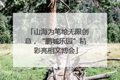 山海为笔绘无限创意，“鹏城乐园”精彩亮相文博会
