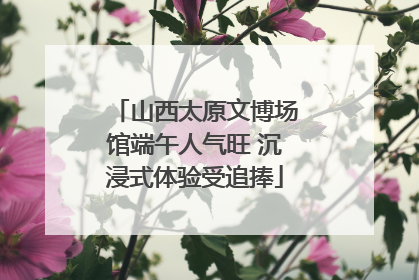 山西太原文博场馆端午人气旺 沉浸式体验受追捧