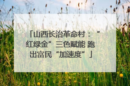 山西长治革命村：“红绿金”三色赋能 跑出富民“加速度”