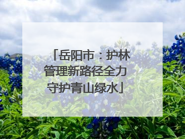 岳阳市：护林管理新路径全力守护青山绿水