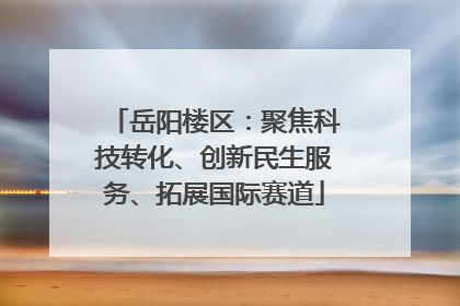 岳阳楼区：聚焦科技转化、创新民生服务、拓展国际赛道