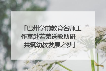 巴州学前教育名师工作室赴若羌送教助研 共筑幼教发展之梦