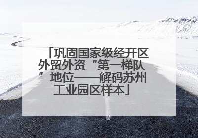 巩固国家级经开区外贸外资“第一梯队”地位——解码苏州工业园区样本
