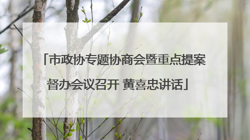 市政协专题协商会暨重点提案督办会议召开 黄喜忠讲话