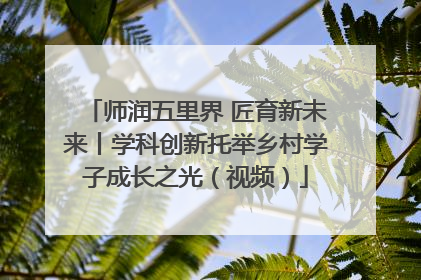 师润五里界 匠育新未来丨学科创新托举乡村学子成长之光（视频）