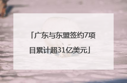 广东与东盟签约7项目累计超31亿美元