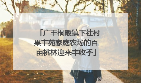 广丰桐畈镇下社村果丰苑家庭农场的百亩桃林迎来丰收季