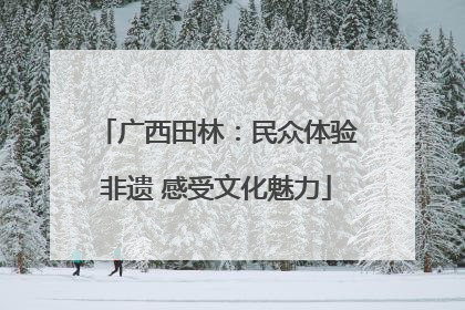 广西田林：民众体验非遗 感受文化魅力