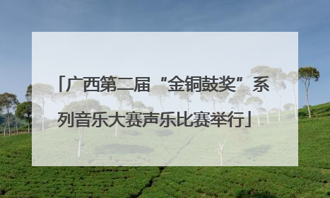 广西第二届“金铜鼓奖”系列音乐大赛声乐比赛举行