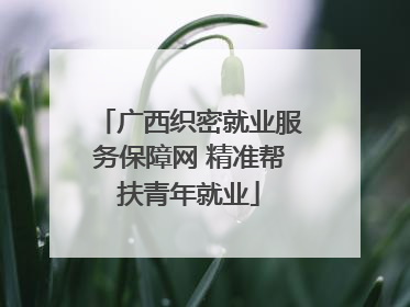 广西织密就业服务保障网 精准帮扶青年就业