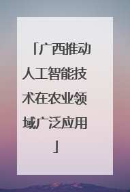 广西推动人工智能技术在农业领域广泛应用