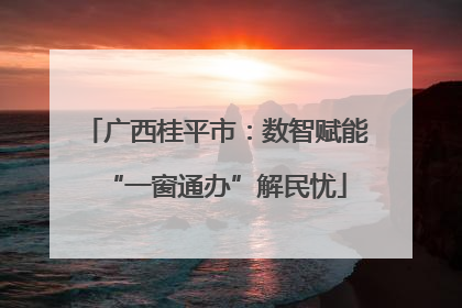 广西桂平市：数智赋能“一窗通办”解民忧