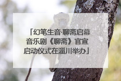 幻笔生音·聊斋启幕 音乐剧《聊斋》官宣启动仪式在淄川举办
