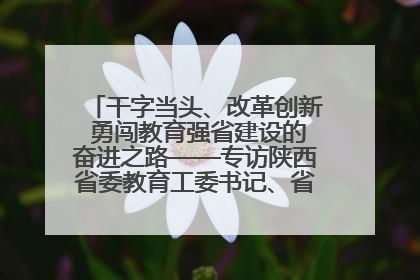 干字当头、改革创新 勇闯教育强省建设的奋进之路——专访陕西省委教育工委书记、省教育厅厅长王树声