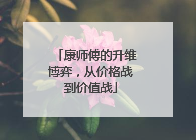 康师傅的升维博弈，从价格战到价值战
