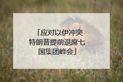 应对以伊冲突 特朗普提前退席七国集团峰会