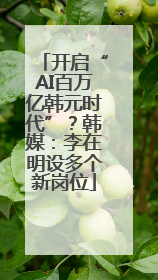 开启“AI百万亿韩元时代”？韩媒：李在明设多个新岗位
