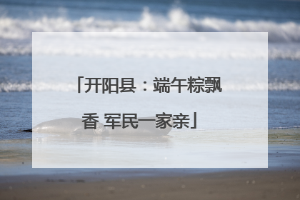开阳县：端午粽飘香 军民一家亲