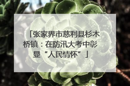 张家界市慈利县杉木桥镇：在防汛大考中彰显“人民情怀”